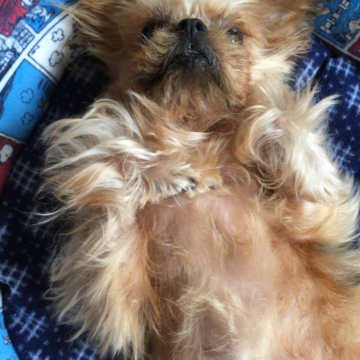 9de9b192 c20e 48bc 9eae d19d338de21b