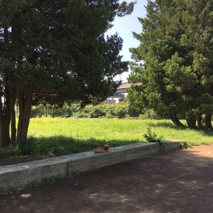 9de9c5ea 94e7 49b2 af02 e0183687a6a9