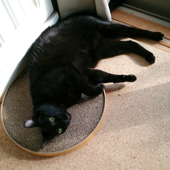 9de9e5cb d79d 43d5 a0e0 cc51367af026