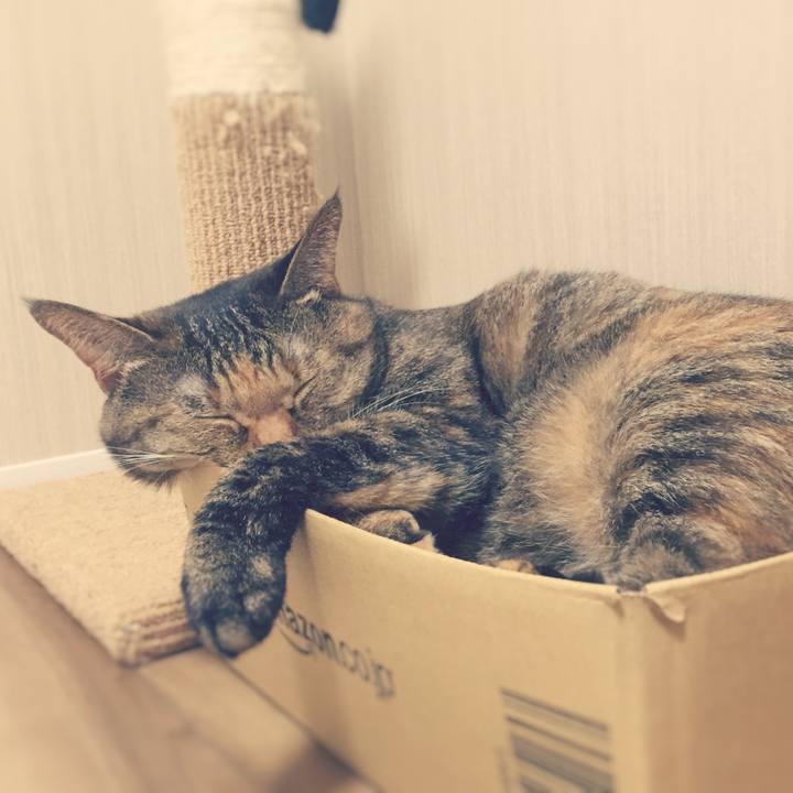 9dea6c5e 1ad5 4f84 b7a5 4b1ef75c2892