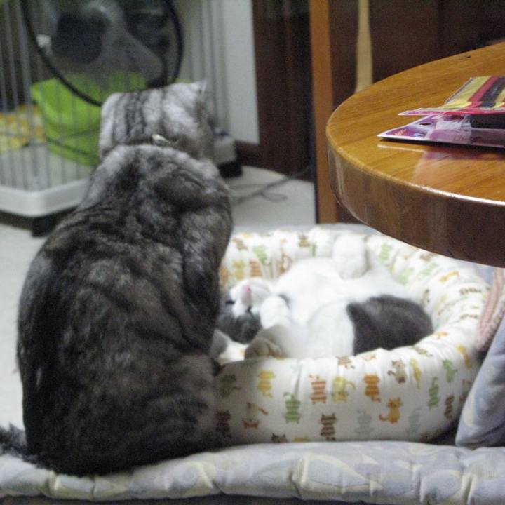 9deaa088 d5fc 417c a705 839a189a7564