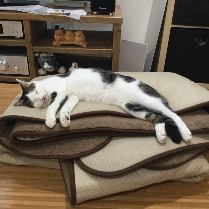 9deabafc 4d2f 40d8 9106 fe0ad9c9996c