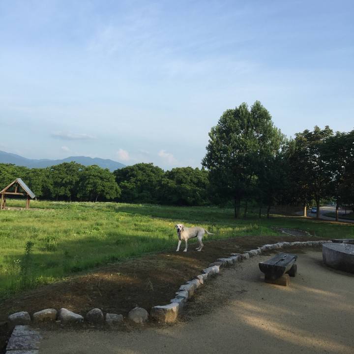 9deaffd7 5acf 4d9e bfa4 edf392ff58e3