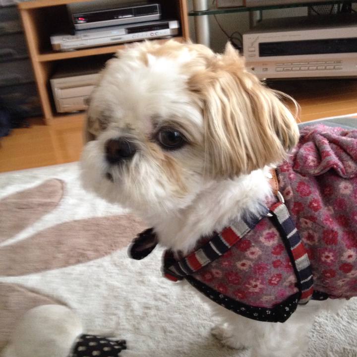 9deb3b95 7591 4e5a ba6f c7f08ff12d66