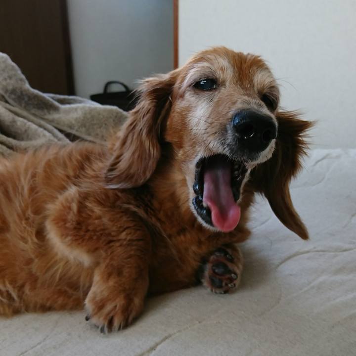 9deb6c84 259d 4046 aeb1 165781cb1603