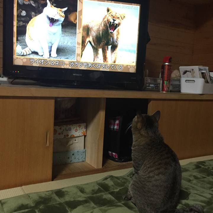 9dec1140 aa95 4d5e 91ce 466540fb0afb