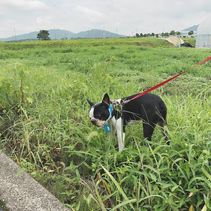 9dec529a 0d88 4980 9e80 697aa6990928