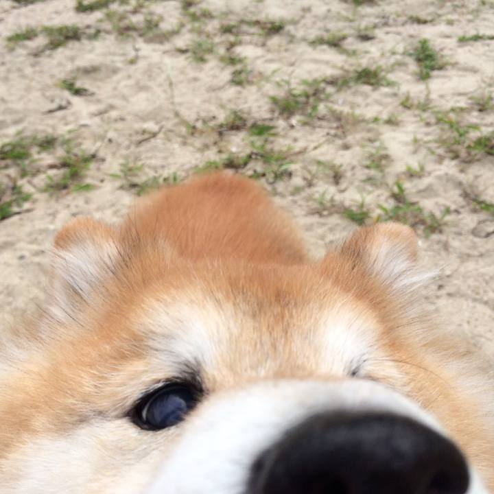 9dec82c1 690d 4cbf 8de2 bffcbddf1dc8