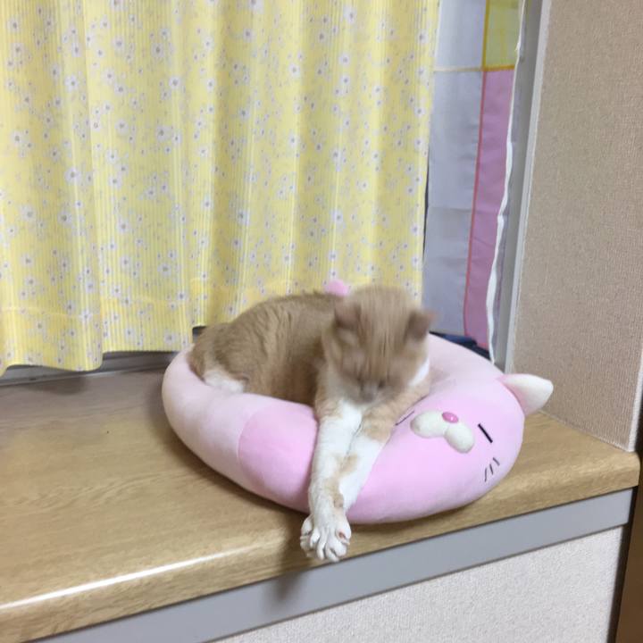 9deca35f 869e 4ce3 b7d5 6f8093ab5923