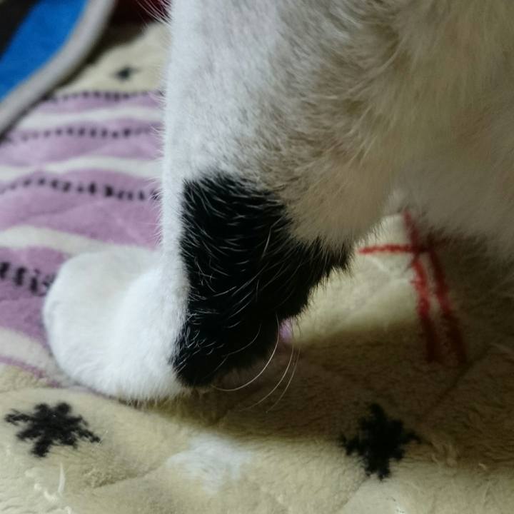 9ded8edc 55e0 4f4f bdab 07b6a940c318