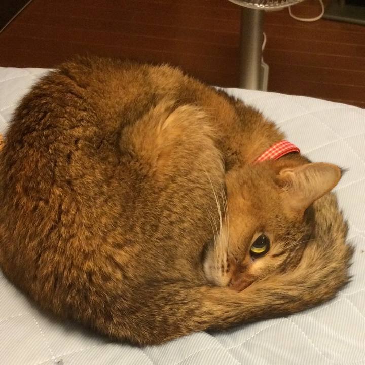 9deddc8e 4cae 4fa8 883b 3ffa5a6eaec1