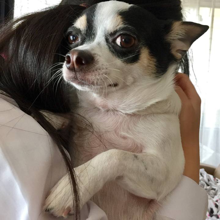 9dee1bea d348 41da bea1 d1009ef0d557