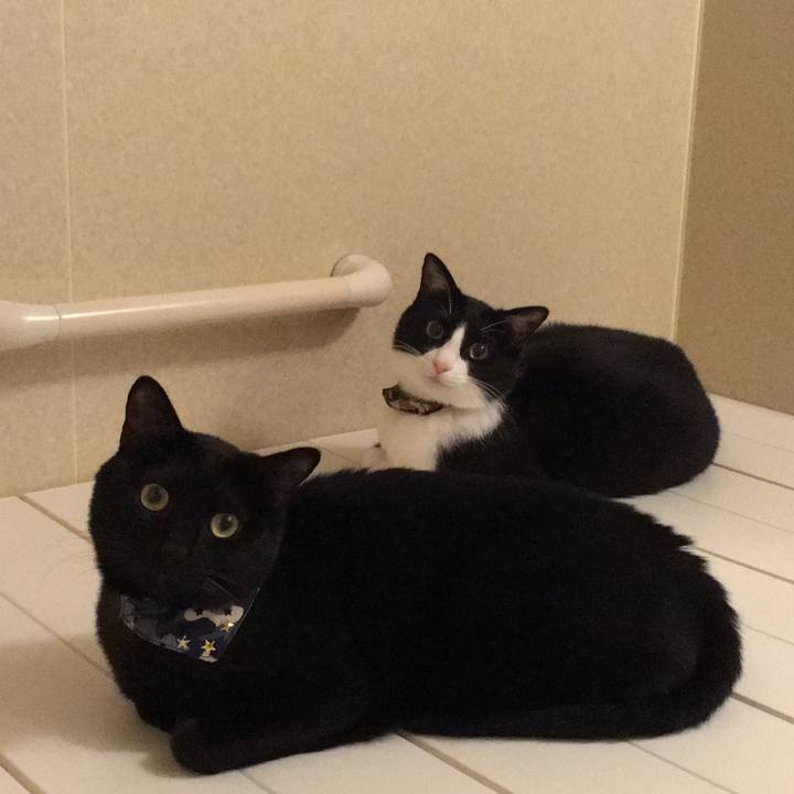 9dee1c32 b05e 4484 af0d 067a3b5f50cd