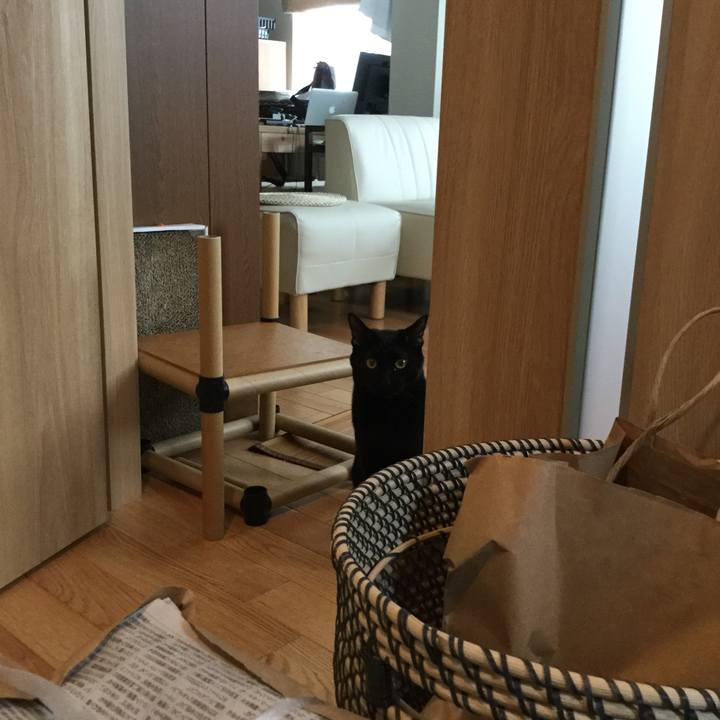 9dee5ae4 82da 481b 9ba0 fec5391626e5