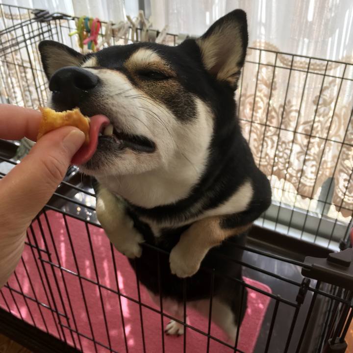 9deedd7b 0542 4f33 afa0 94f77d853e87