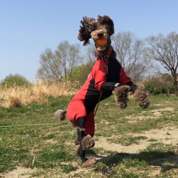 9def7fee 6b8d 497b 8841 0f98eefbfc41