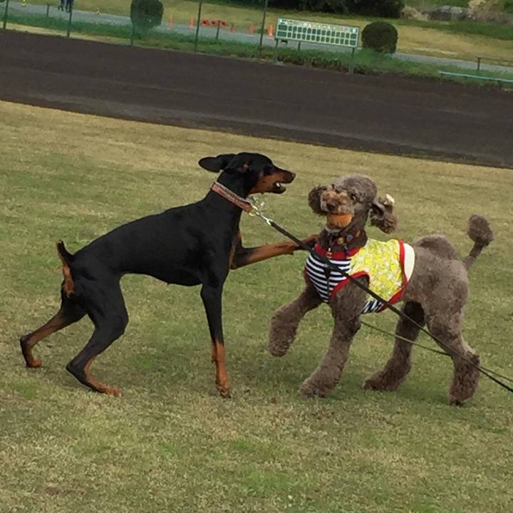 9def8090 21c7 441a a091 04026de03ab6