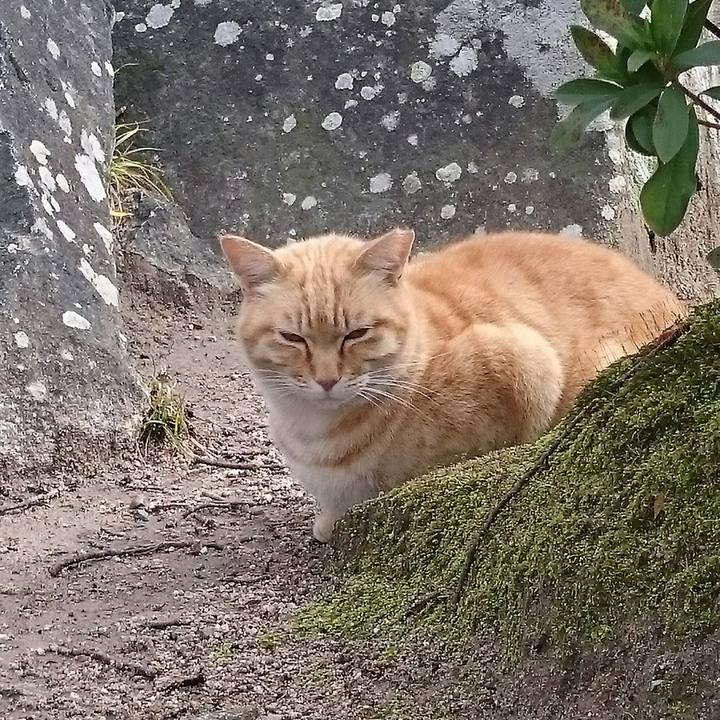 9deff38c a514 44fd 9918 37187530c35f