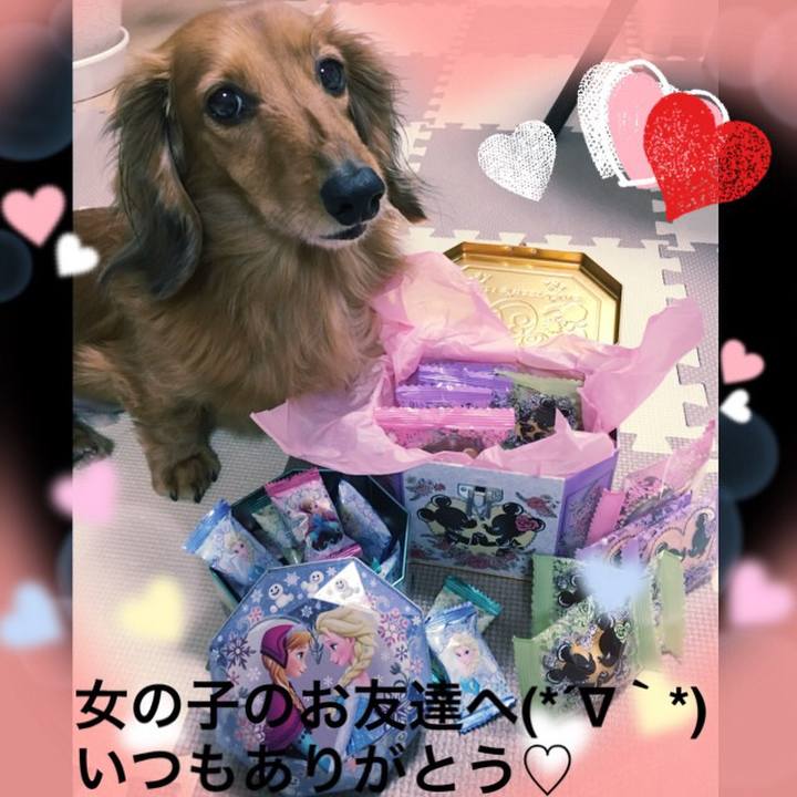 9df028de 33d6 4d9d 82f8 29ad117a5aac