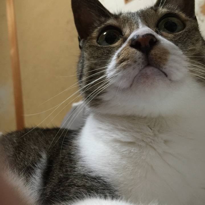 9df08599 9fd3 4e9c 925f 521a07ea4966