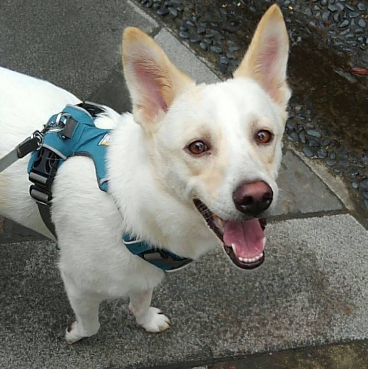 9df0b21d c98f 4c8d 9614 dab72d49ee85