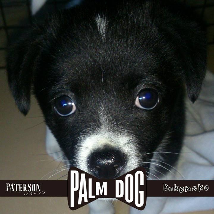 9df0f3d8 beae 4fd8 bd67 b4a413c28be8