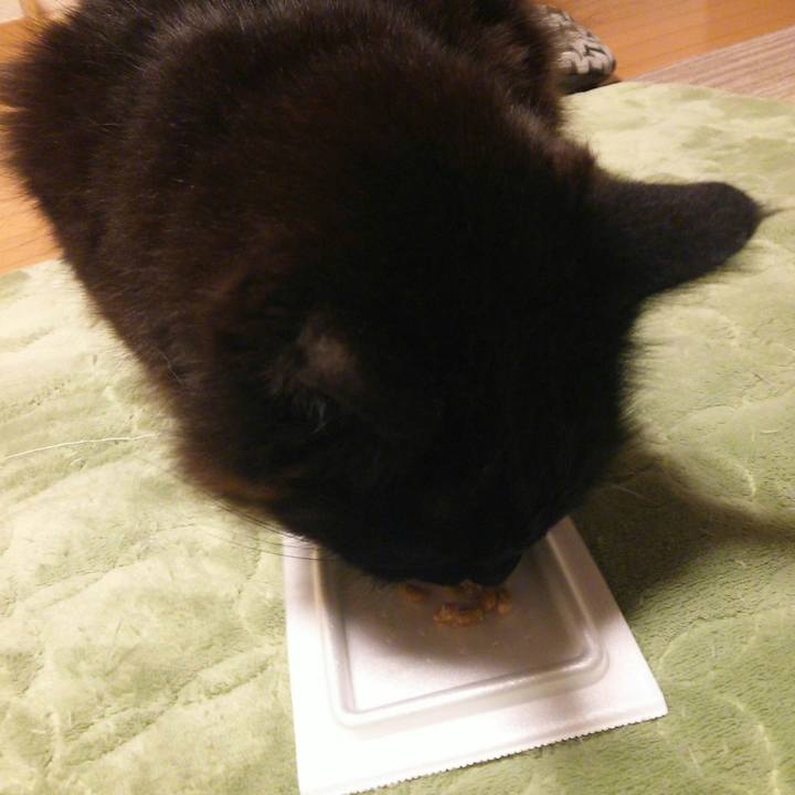 9df0f5f2 1883 4aab 965d c684453b412c