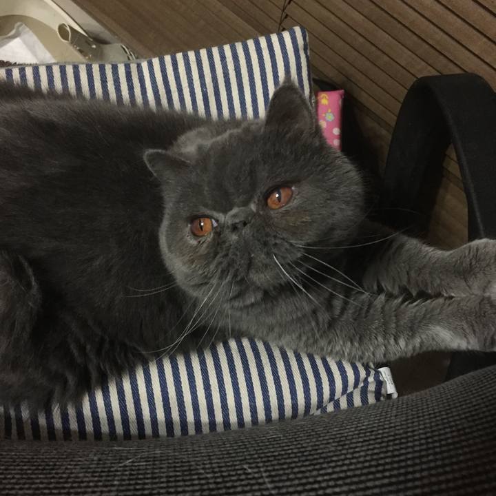 9df15c27 c97d 4e1b af9d bc515fbe0473