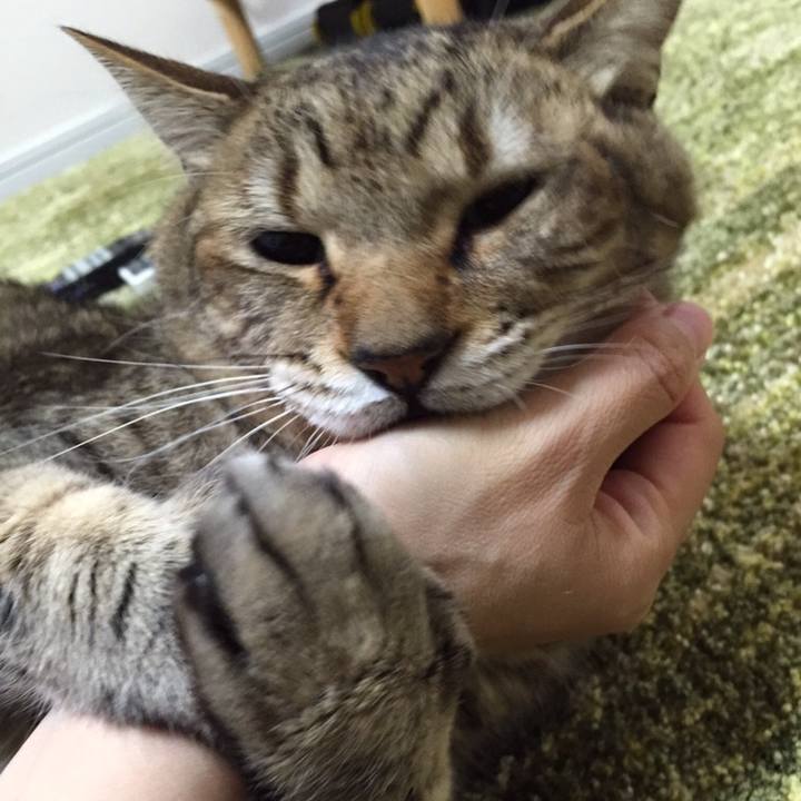 9df15e63 81ee 42ce 91e3 9f4095b97f48