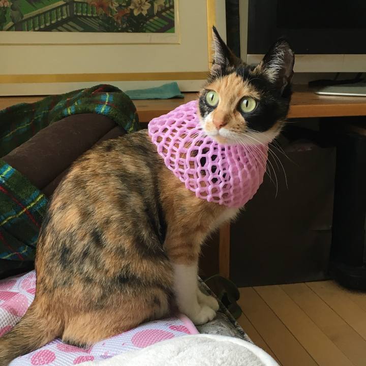 9df1f4c1 901a 42a2 95b3 a7538ced4e58