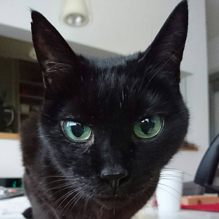 9df2b62e dce8 463f 8f5a e3ee7f218498