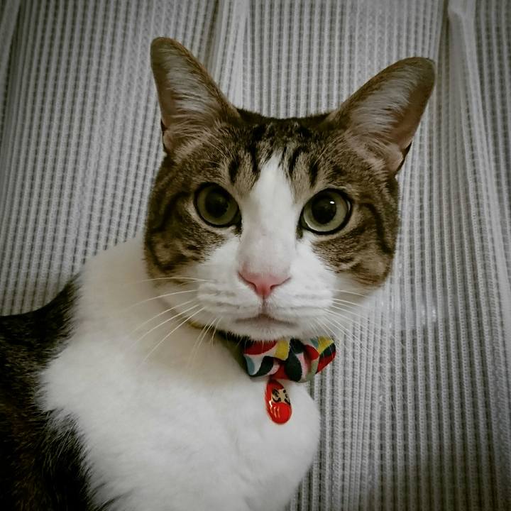 9df2ba65 1542 424e a72d a144afd1adce