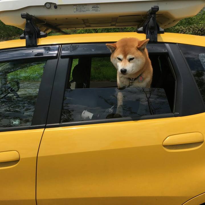 9df32854 8d66 4042 8768 87dff72e16be