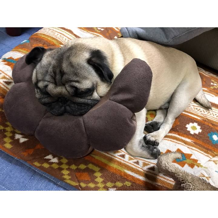 9df3342f db84 4bdb b1fd 7c01943bad11