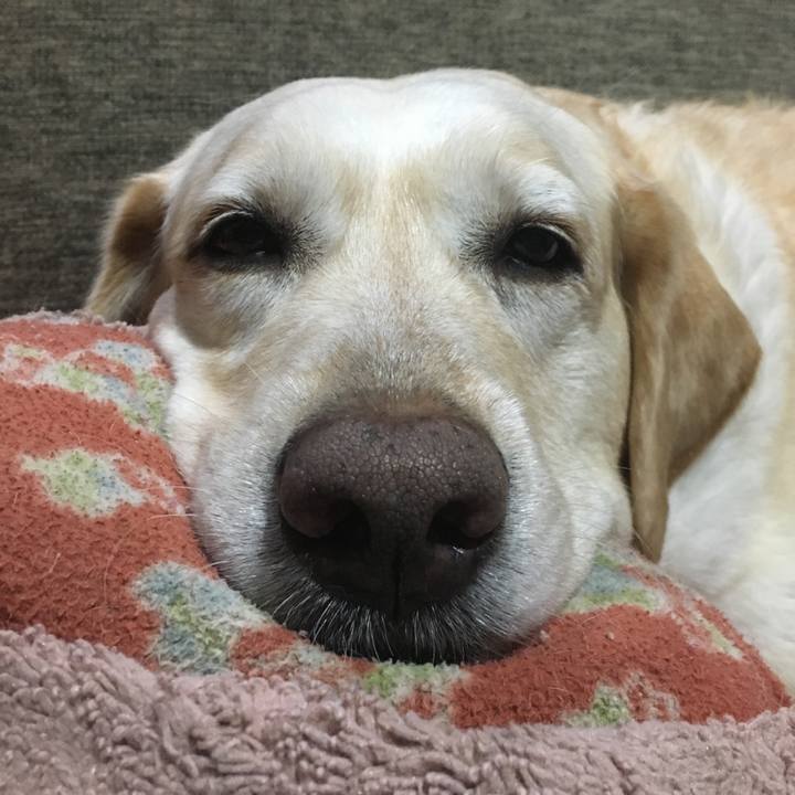 9df3d153 ab66 4418 9530 e189539f68f8