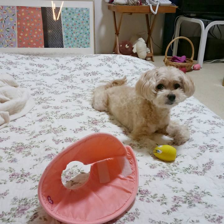 9df4210c 1fab 4382 a2f0 f72e0c073075