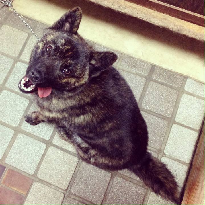 9df441c4 a84e 410c ad75 4fe1d9c066a8