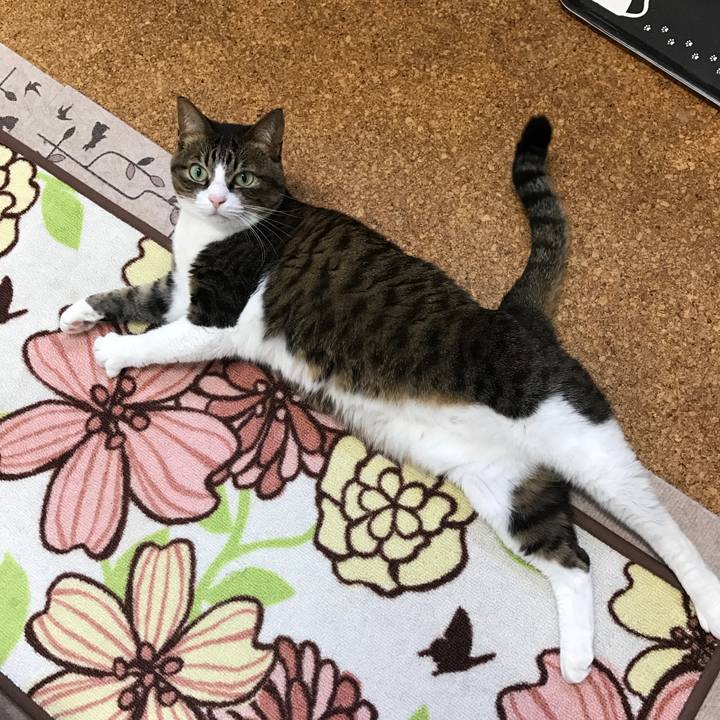 9df44ab1 2a45 4485 b00f 1dd25c4ad412