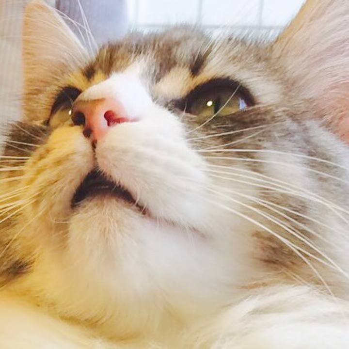 9df4d831 d9ee 407c 84c6 1e6aadce02b2