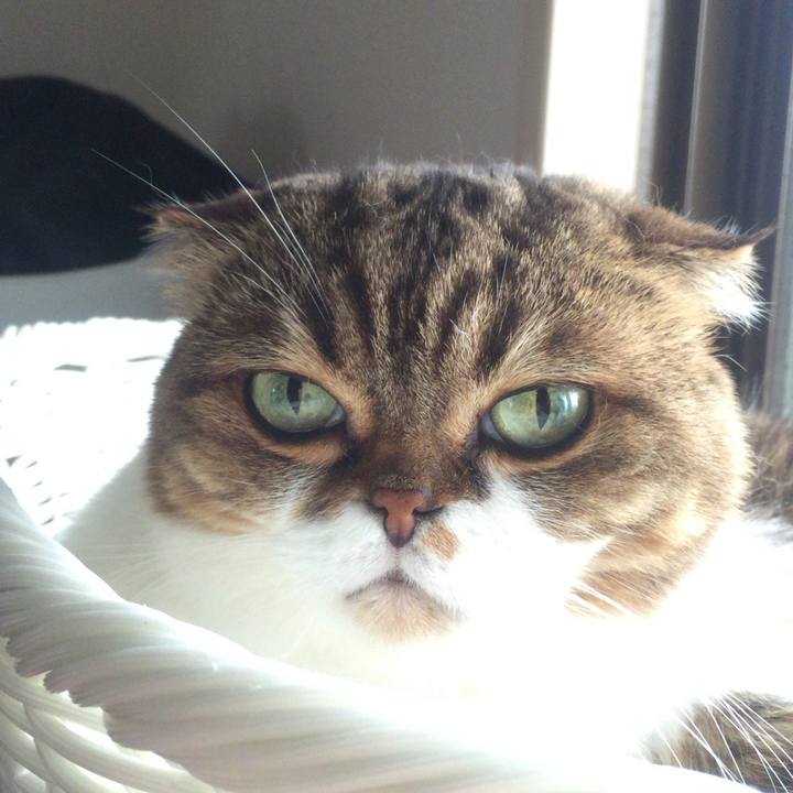 9df55630 278b 4f70 ab3d 93700c35bab7