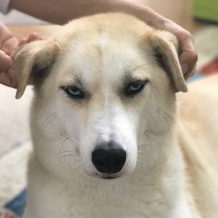 9df5cc89 29a9 4871 9351 287de8967a3d