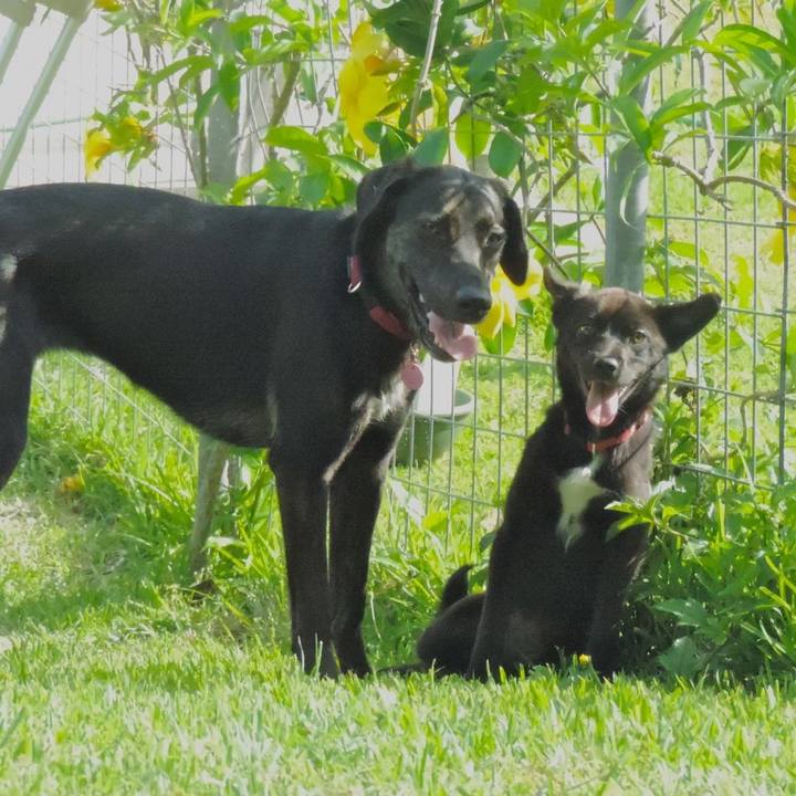 9df5e790 d662 484b 83e2 ea134fed17a7