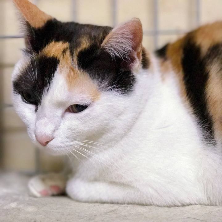 9df6067b 8e3b 4c9f 9305 d080b3598376