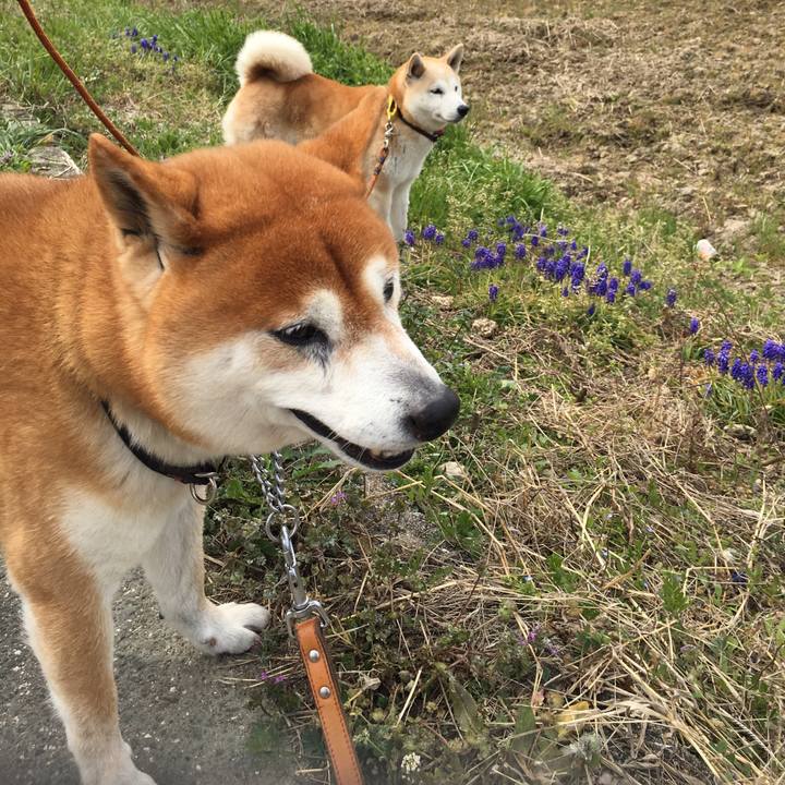 9df62be6 ea9d 46af 933c d3a0534272d7