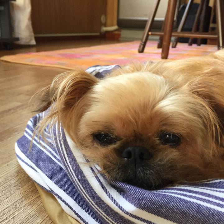 9df64e84 4011 4740 b34c f9e747670f27