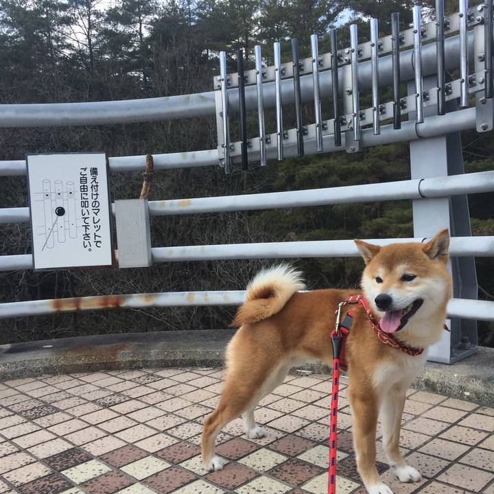 9df655c2 581e 4d44 8217 171dd05191f2