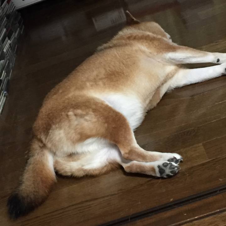 9df68811 5205 4086 ad8d 4127d7f51b05