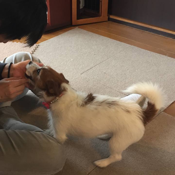 9df6d5c5 577b 49b4 98e9 4dac83966d8f