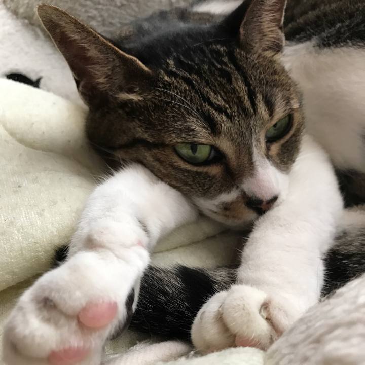 9df73a10 fec7 444c b493 5760486fcf1a