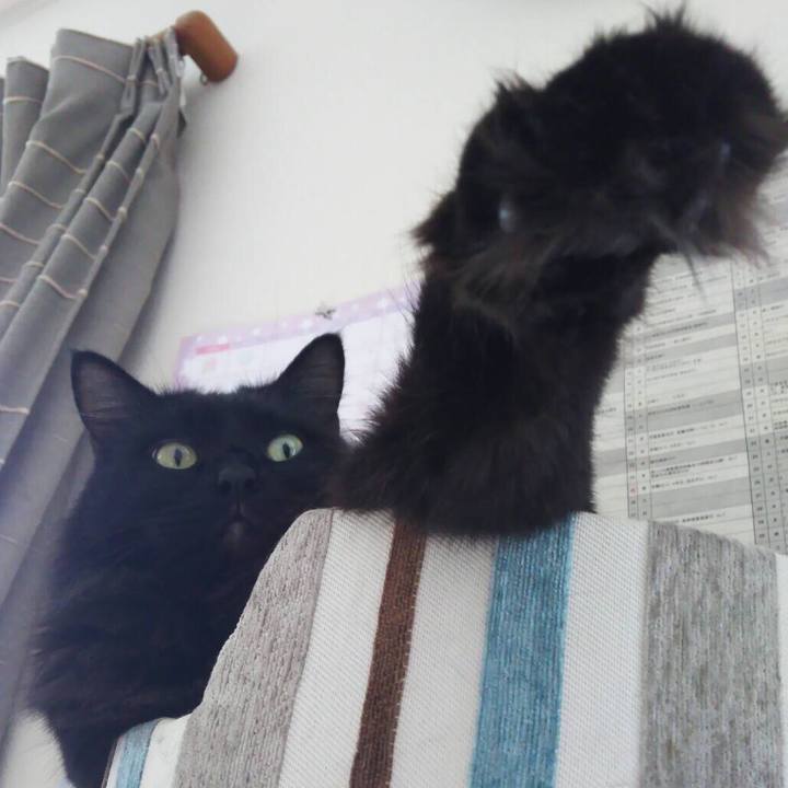 9df79b93 00e2 4388 8fc2 1d04bc683e42